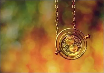 Quel objet appartenant  Hermione est sur cette photo ?