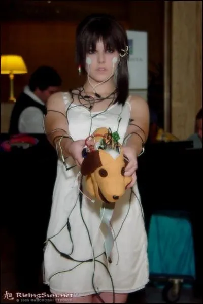 A quel anime appartient ce cosplay ?