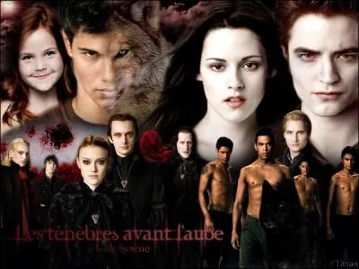 Comment se termine le film 4  Rvlation  ?