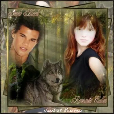 Chapitre 4 : Rvlation. Qu'arrive-t-il  Jacob ?