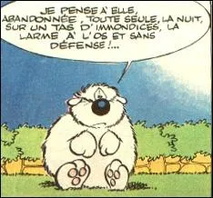 Voici Cubitus de Dupa, de quelle race est-il ?