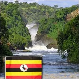 Quel oiseau, symbole national du pays figure sur le drapeau de l' Ouganda ?