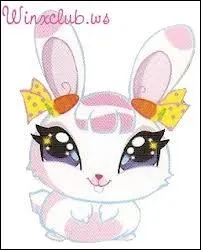 Qui est cet animal ?