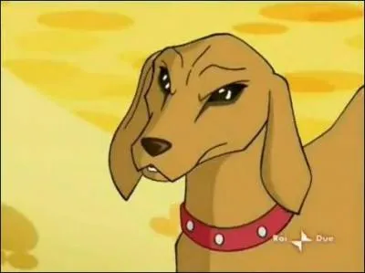 Qui est cet animal ?