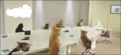 Ces chats travaillent  ...