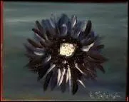 Qui a crit  Le dahlia noir  ?