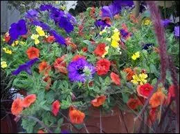 Qui a crit  Les fleurs du mal  ?