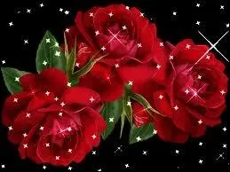 Qui a crit  Ce que vivent les roses  ?