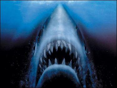 Quel est cet affreux animal qui terrifie les vacanciers dans le film les  Dents de la mer  ?