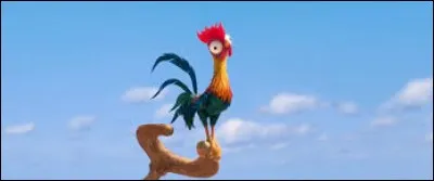 Quel est le nom du coq pas très fûté qui va accompagner Vaiana dans ses aventures maritimes ?