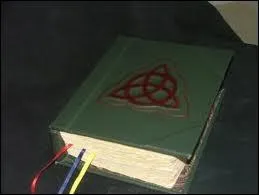 Qu'y a-t il de marqu sur la premire page du  Livre des ombres  en amricain ?