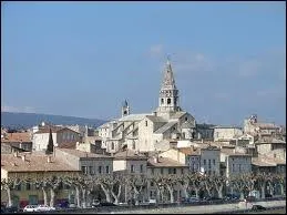 Les habitants de Bourg-Saint-Andol se nomment ...