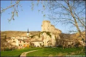 Comment se nomment les rsidents de la commune de Chteaubourg ?