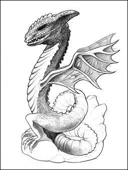 Quelle est cette crature ?