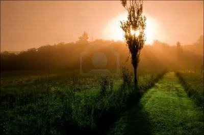 Mais quand le matin / Je vois le soleil, le matin !