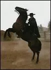 FACILE : Comment se nomme le Cheval de Zorro ?