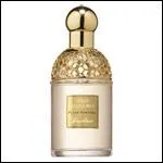 Qui est le crateur du parfum  Aqua Allegoria  ?