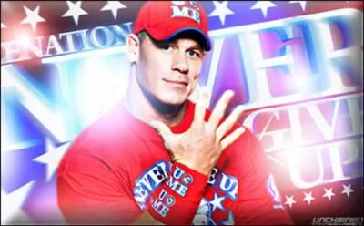 Quel est ce catcheur ?