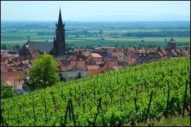 A Dambach-la-Ville, les habitants portent le nom de ...