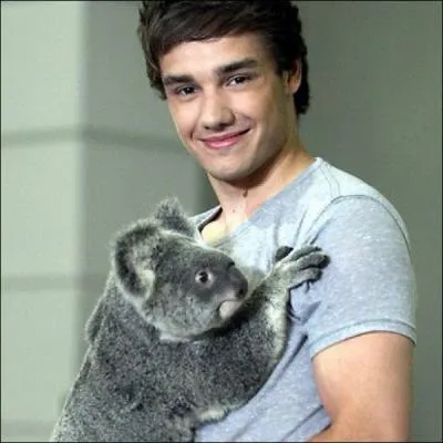 Parmi les phrases suivantes, laquelle Liam a-t-il prononce ?