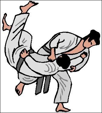 Au judo, quelle est la couleur de la ceinture venant juste aprs la ceinture orange, en kyu ?