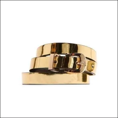 Dans une expression connue, qu'est-ce qui vaut mieux que  ceinture dore  ?