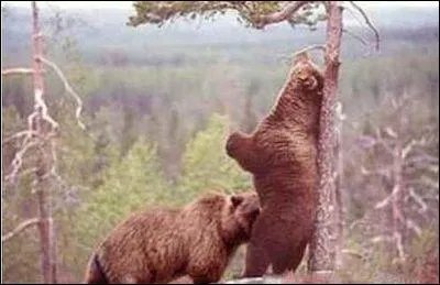 Qui a employ le mot  fellation  au lieu  d'inflation , sur le plateau de Canal + ?