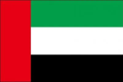 On y trouve le plus haut gratte-ciel du monde (en 2012).