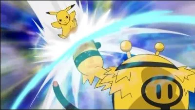 Quel est son poids ?