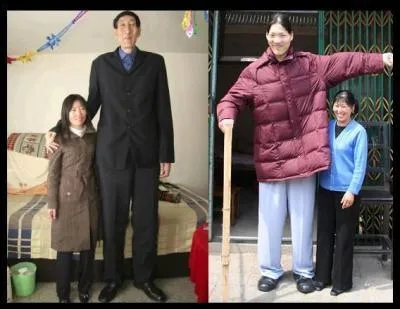 Ce sont actuellement le plus grand homme et la plus grande femme du monde, chinois tous les deux. Lui fait 2, 36 m et la jeune femme, Yao Defen, fait ?