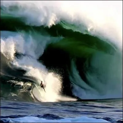 Les surfeurs sont des sportifs de l'extrme pour certains d'entre eux. Les meilleurs du monde cherchent  surfer les vagues gantes. Quel est le record de Laird Hamilton surfer amricain ?