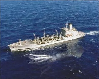 C'est une photo montage, afin de donner l'ide de la taille du calmar gant, dont on sait maintenant qu'il n'tait pas un mythe. Entre le cachalot et le calmar, qui mange le plus l'autre ?