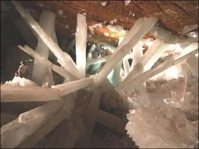 Cliquer sur la photo pour apprcier la taille de l'homme,  ct de ces gigantesques cristaux de la grotte de Naica, qui font en moyenne plus de 11 m de long. O se situe cette grotte merveilleuse ?