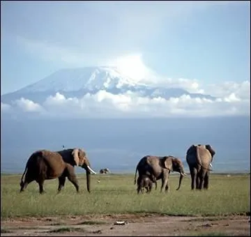 O se situe ce monument ? le Kilimandjaro