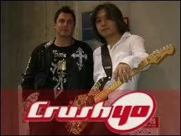 Le groupe Crush 40 a particip  la totalit des musiques de Sonic. Vrai ou faux ?