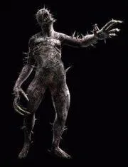 Qui sont les Regeneradores