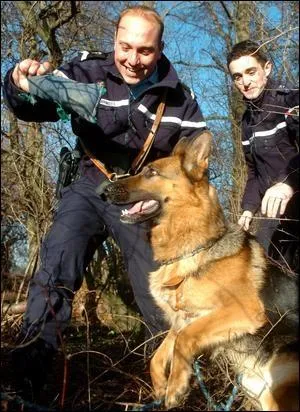Une brigade de gendarmerie qui travaille avec des chiens s'appelle une brigade...