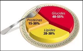 Les glucides et les lipides sont donc des matriaux