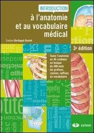 Savez-vous ce qu'est une glossite ?