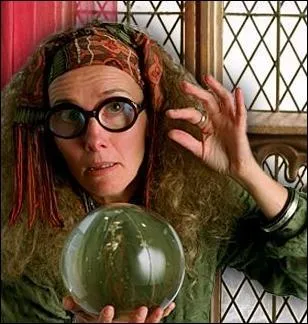 Comment se nomme le professeur qui lit dans les boules de cristal ?