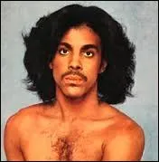 Quel surnom ne convient pas au chanteur Prince ?