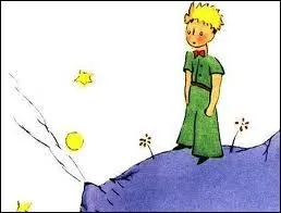 Et quel chanteur est surnomm  Le petit prince du ra  ?
