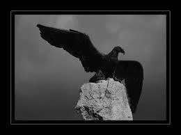 Quel est le surnom de la chanteuse Barbara ?