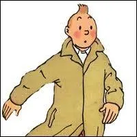 A quel chanteur le surnom  Tintin  se rapporte-t-il ?