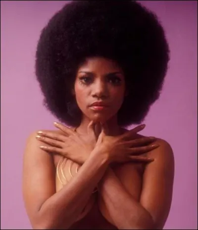 Qui chante "Promised Land" ?