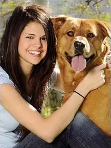 Combien Selena a-t-elle de chiens ?