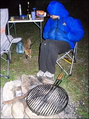Quelle est la nourriture favorite du petit animal qui vient rendre visite  ce campeur ?