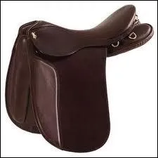 Comment se nomme cette selle ?