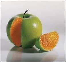 Parmi ces films, lequel existe vraiment ?