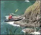 Parmi ces films, lequel existe vraiment ?